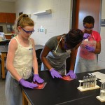 Students worked this week in camp to extract the DNA from strawberries. 