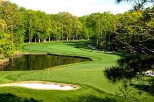 Plans Dropped For Pines Course Irrigation Project