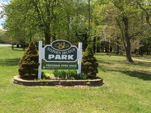 Agencies Close Berlin Park To Investigate Packages Ultimately Deemed Harmless
