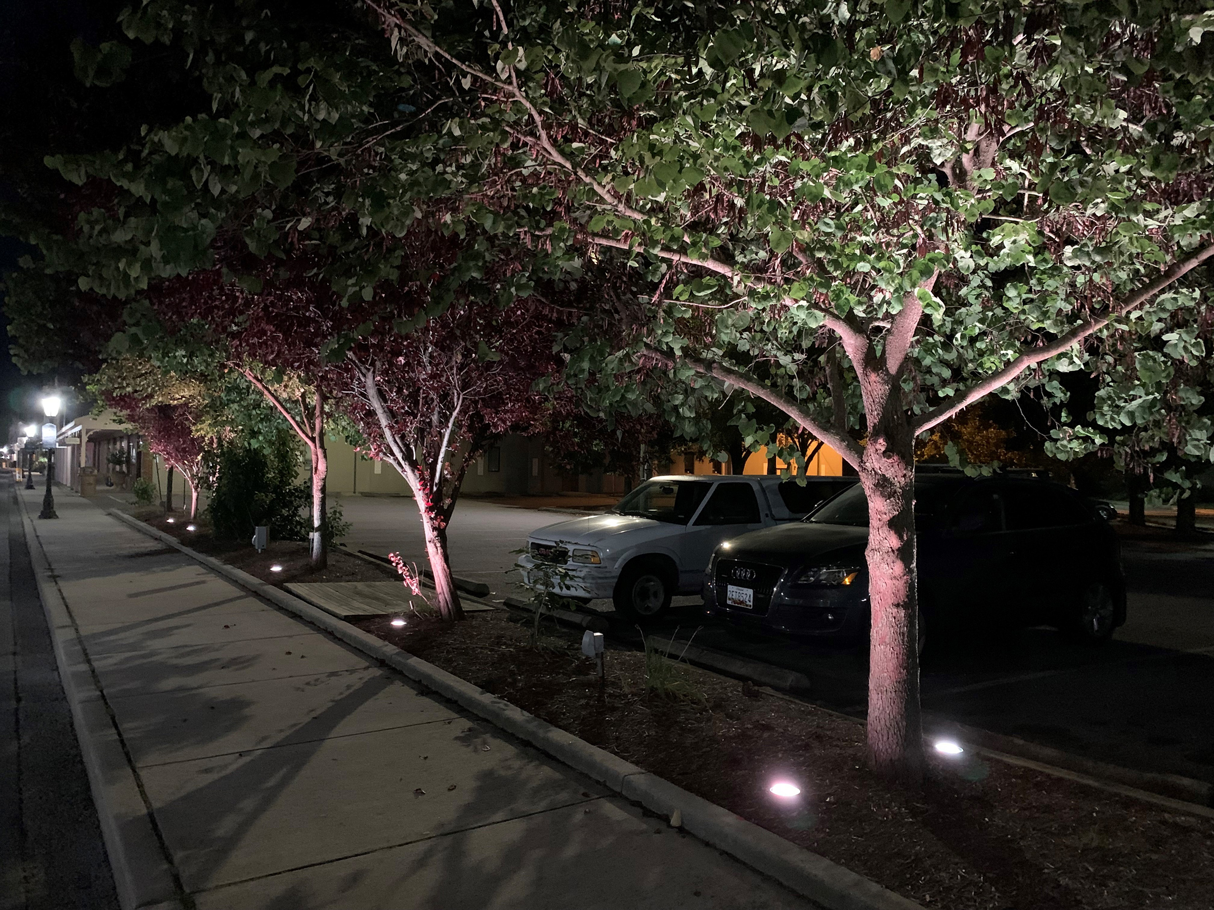 In 3-2 Council Vote, Berlin Will Return To Stringing Lights In Trees; Mayor Favored Uplighting Method