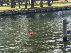 DNR Clarifies Crab Pots Permitted In Ocean Pines Canals