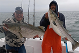 Big Stripers Caught By Local Anglers